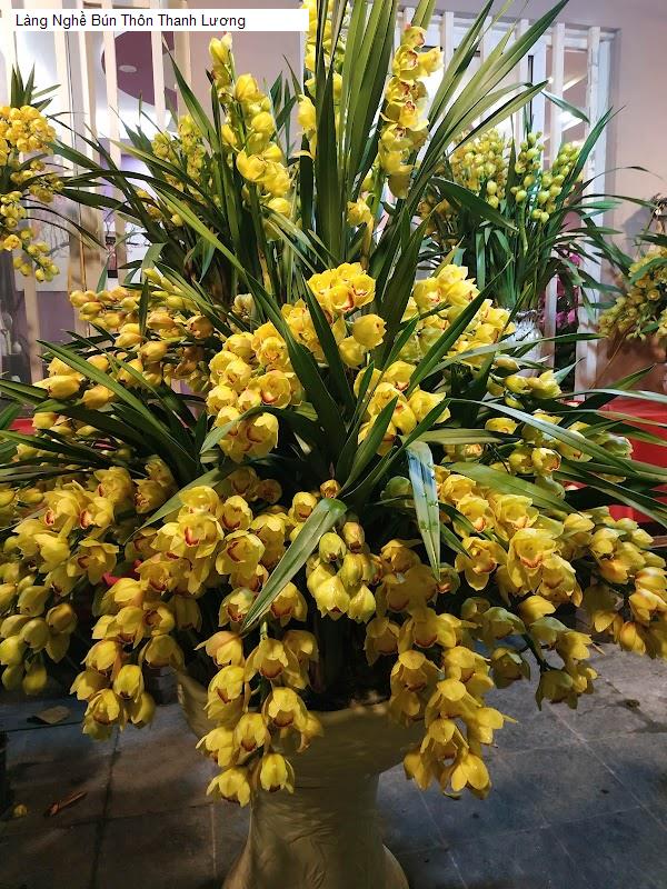 Làng Nghề Bún Thôn Thanh Lương