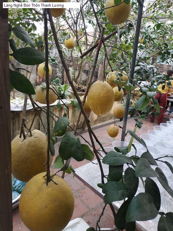 Làng Nghề Bún Thôn Thanh Lương