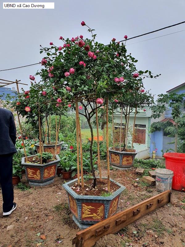 UBND xã Cao Dương