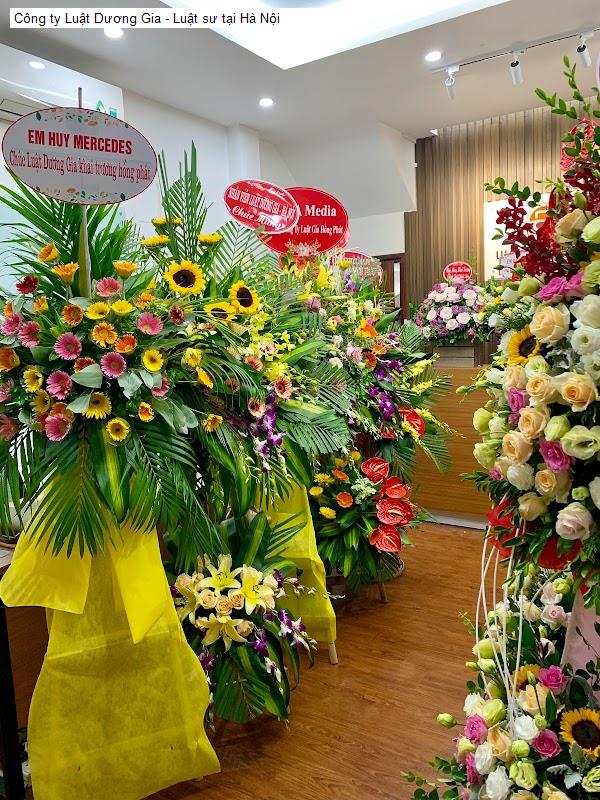 Công ty Luật Dương Gia - Luật sư tại Hà Nội