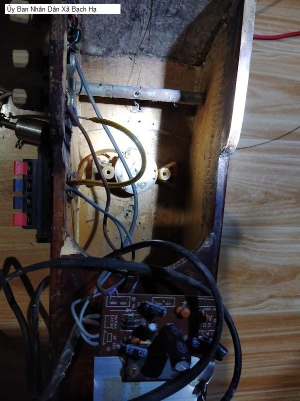 Ủy Ban Nhân Dân Xã Bạch Hạ