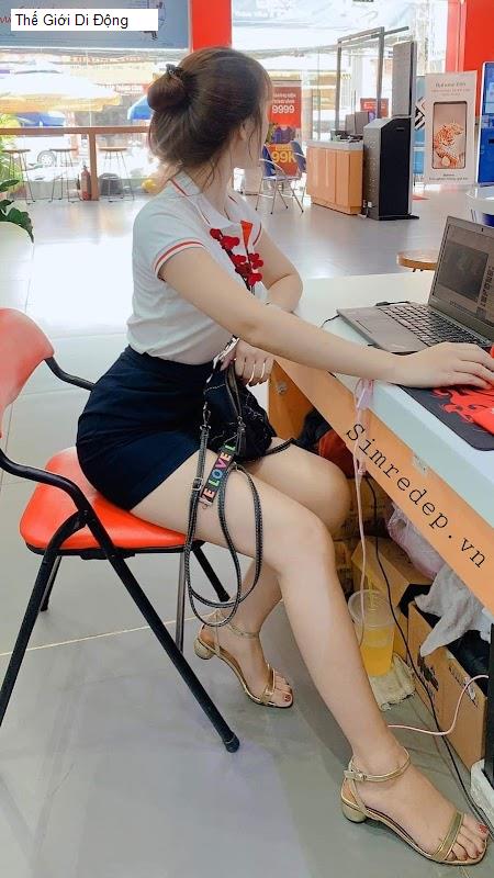 Thế Giới Di Động