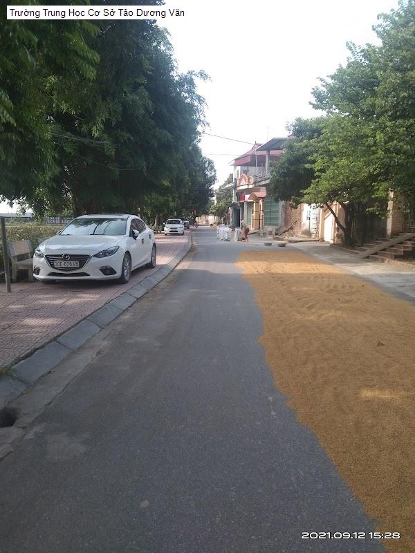 Trường Trung Học Cơ Sở Tảo Dương Văn