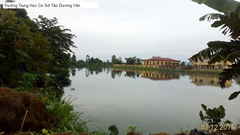 Trường Trung Học Cơ Sở Tảo Dương Văn
