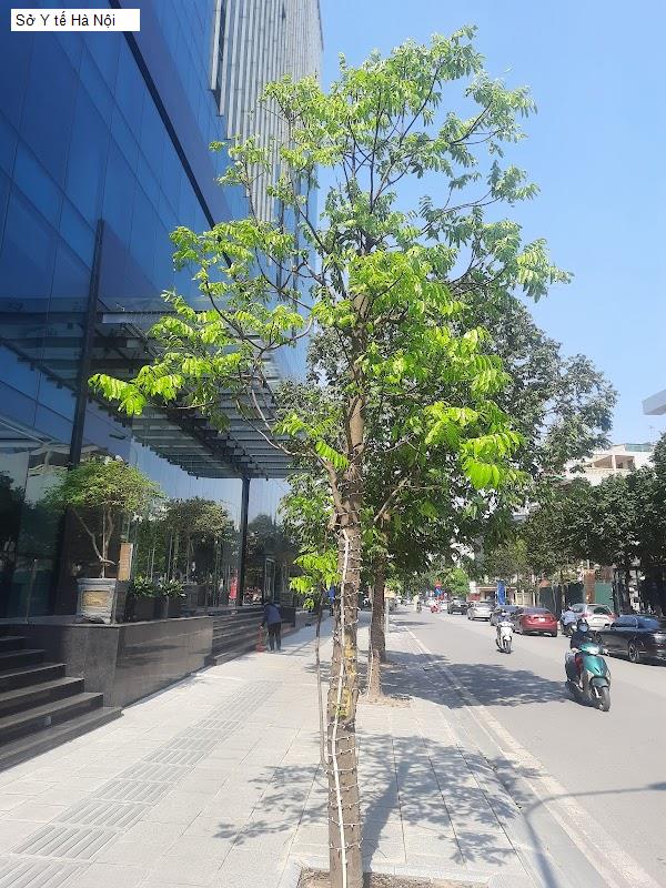 Sở Y tế Hà Nội